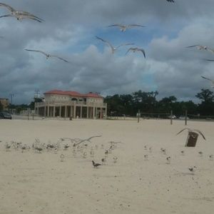 Meet your Posher, Latoya