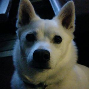 Meet your Posher, Jacquelyn