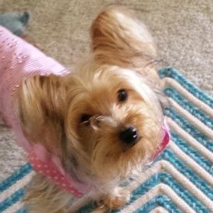 Meet your Posher, Ashley