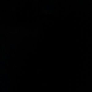 Meet your Posher, Jerry