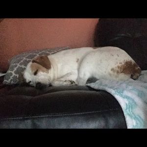 Meet your Posher, Kallie