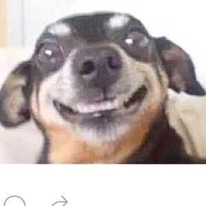 Meet your Posher, Melanie