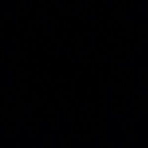 Meet your Posher, Balun