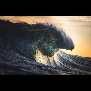 Meet your Posher, Lily