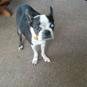 Meet your Posher, Wendy