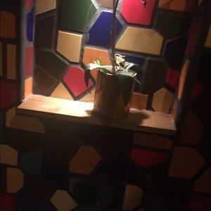 Meet your Posher, Gabriela