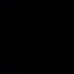 Meet your Posher, Vidal