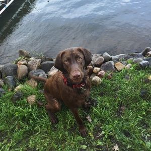 Meet your Posher, Kayla