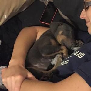 Meet your Posher, Cassidy