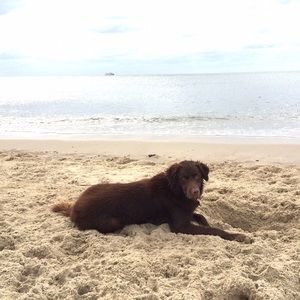 Meet your Posher, Tamara