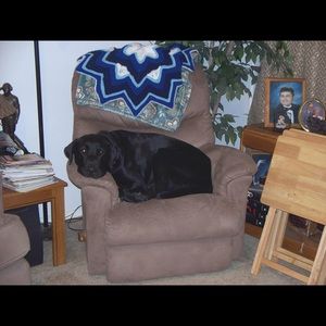 Meet your Posher, Amber