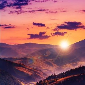 Meet your Posher, Alyson