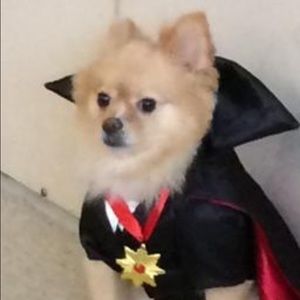 Meet your Posher, Andrea