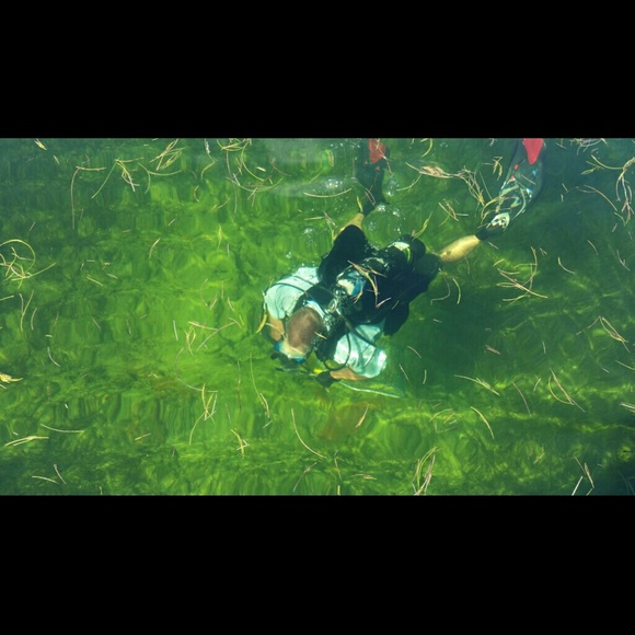 Meet your Posher, Debi