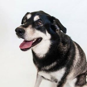 Meet your Posher, Aaron