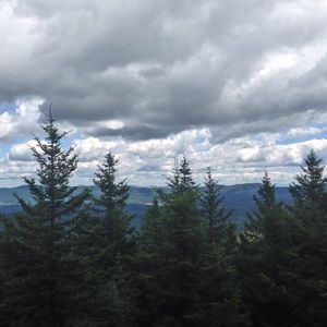 Meet your Posher, Brynn