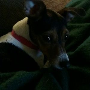 Meet your Posher, Lynn