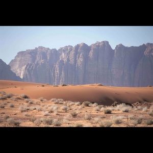 Meet your Posher, Ali