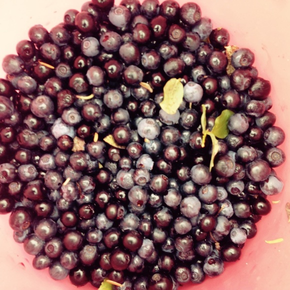 Meet your Posher, Shaina