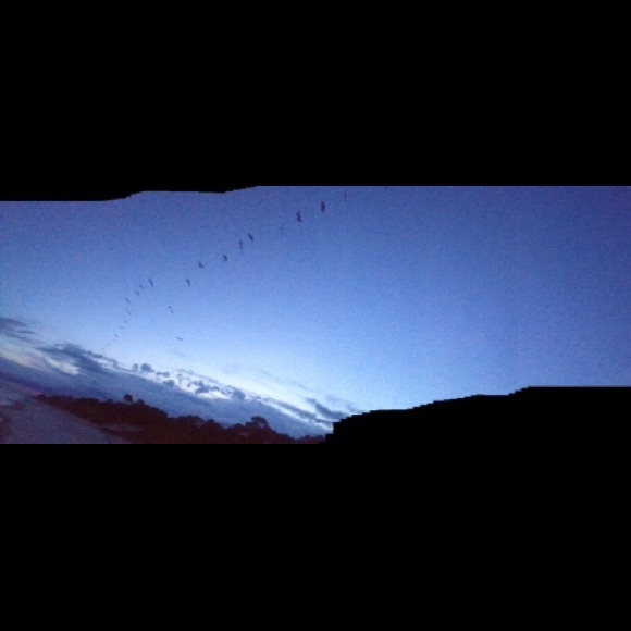 Meet your Posher, Savannah