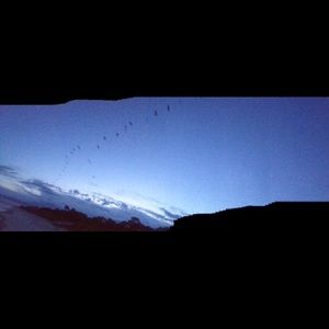 Meet your Posher, Savannah