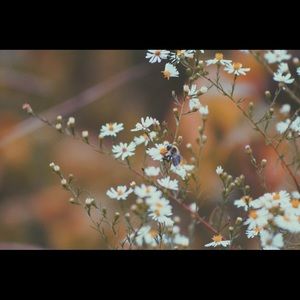 Meet your Posher, Dylan