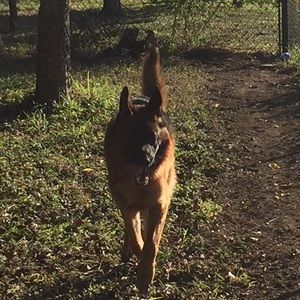 Meet your Posher, Dirk