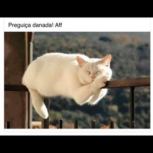 Meet your Posher, Celia