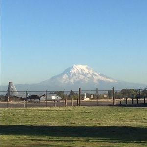 Meet your Posher, Holly