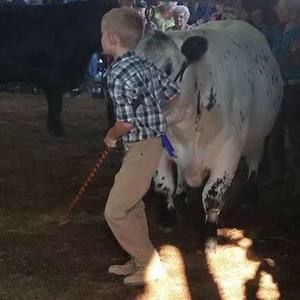 Meet your Posher, Joy