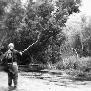 Meet your Posher, Braden