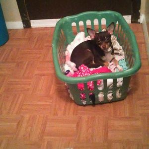 Meet your Posher, Ana