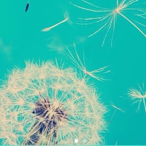 Meet your Posher, Alicia