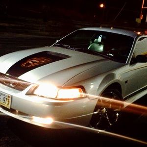 Meet your Posher, Noah