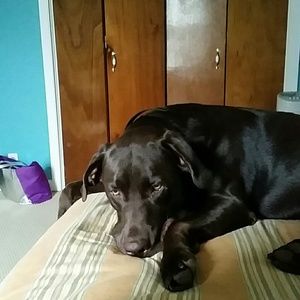 Meet your Posher, Christian