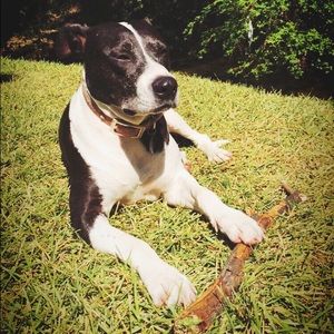 Meet your Posher, Natasha