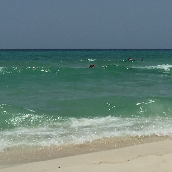 Meet your Posher, Sydney - Picture 1 of 1