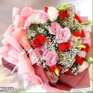 Meet your Posher, Mona