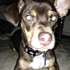 Meet your Posher, Jessica