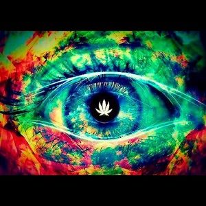 Meet your Posher, Lauryn