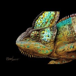 Meet your Posher, Kyle