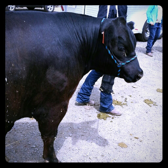 Meet your Posher, Jeannine - Picture 3 of 3