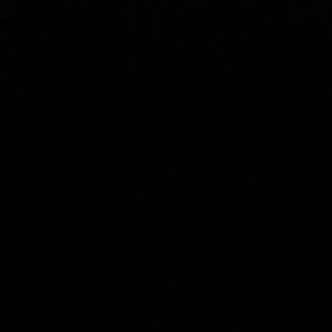 Meet your Posher, Ronny