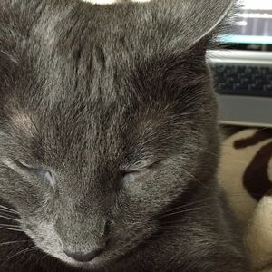 Meet your Posher, Katrina