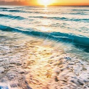 Meet your Posher, Eunice