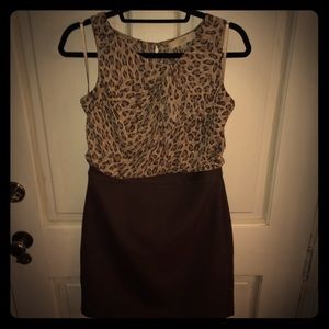 Ann Taylor LOFT dress