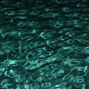 Meet your Posher, Eli