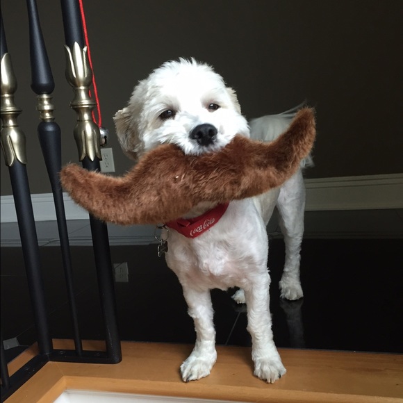 Meet your Posher, Jill - Picture 1 of 1