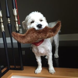 Meet your Posher, Jill