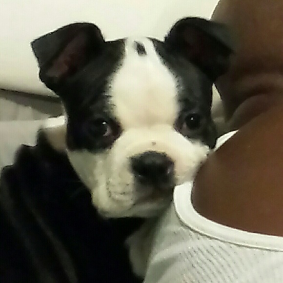 Meet your Posher, Dawn - Picture 2 of 4